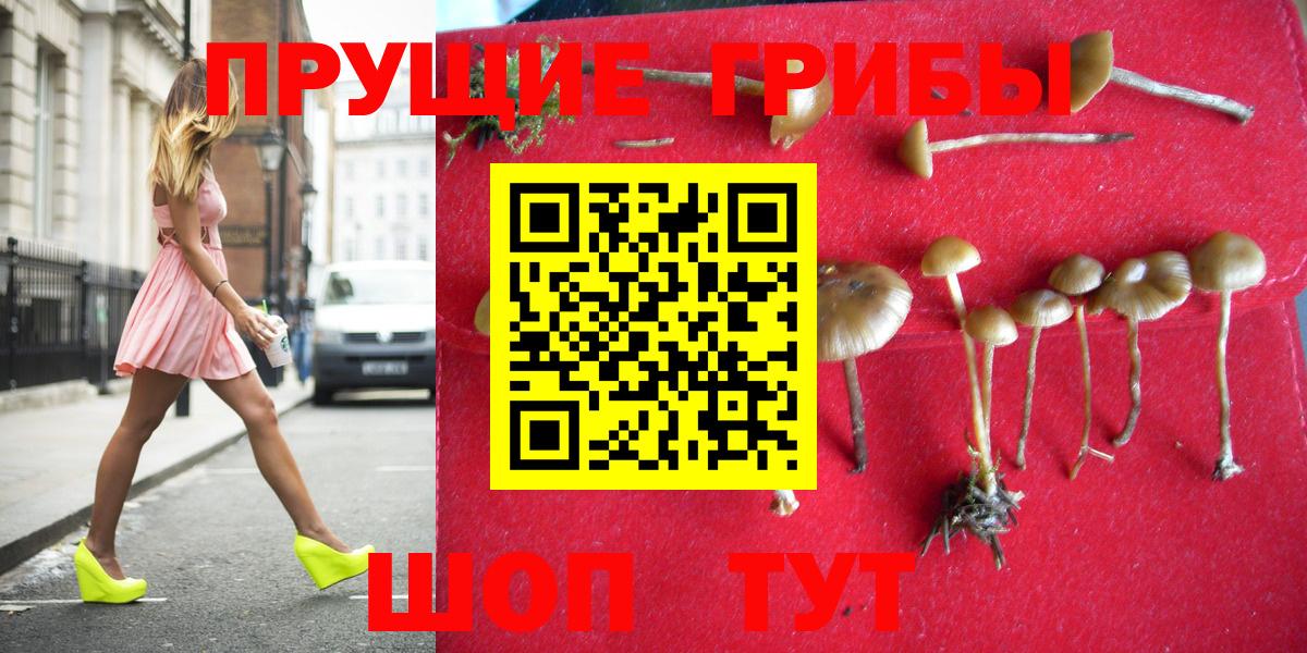 Галлюциногенные грибы Cubensis  Вход с VPN  Псилоцибиновые грибы мухоморы  Калуга 