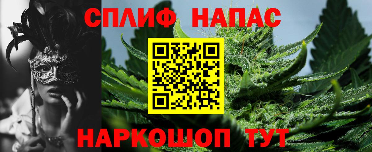 Шишки марихуана конопля  Марихуана планчик  Калуга  Бошки марихуана тримм  Бошки Шишки тримм  Вход с VPN 